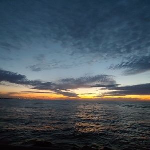 Meet your Posher, Nicholas